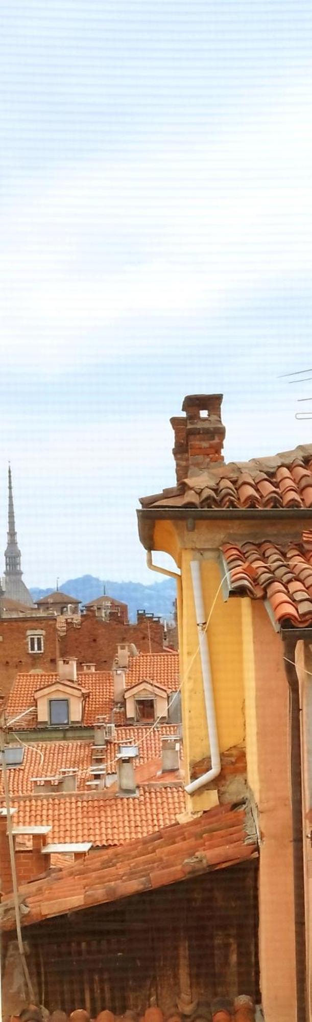 Calin Apartment Turin Bagian luar foto