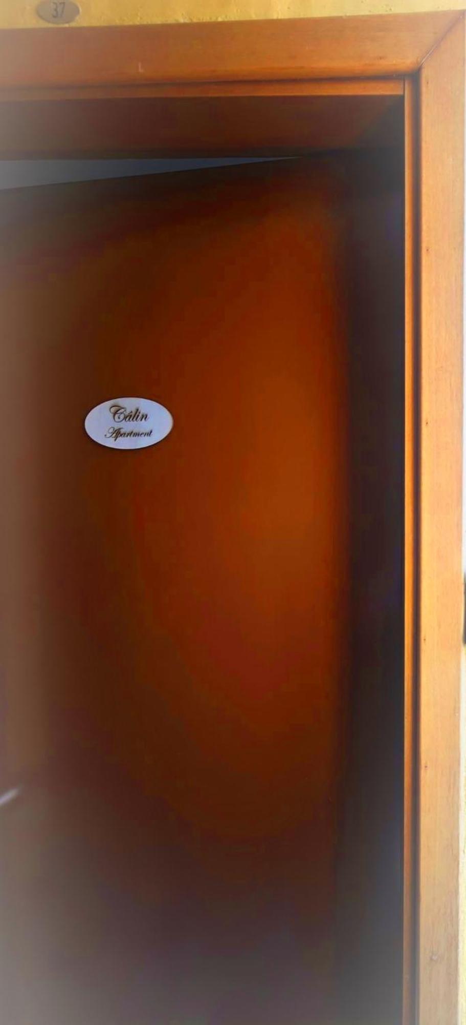 Calin Apartment Turin Bagian luar foto