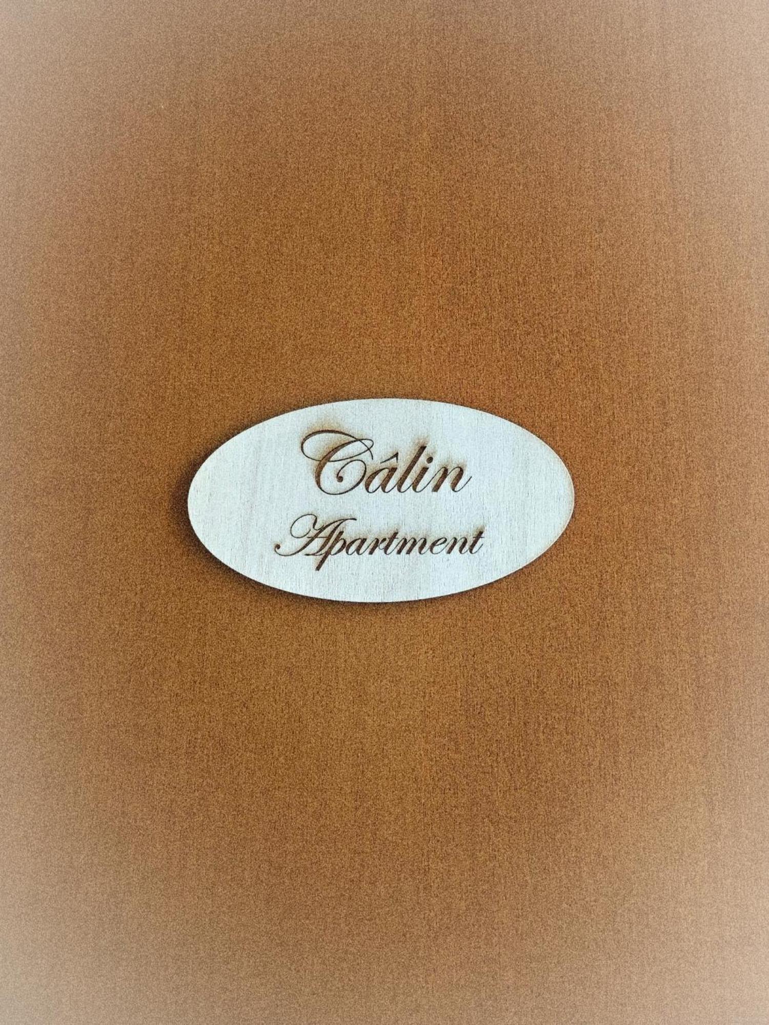 Calin Apartment Turin Bagian luar foto