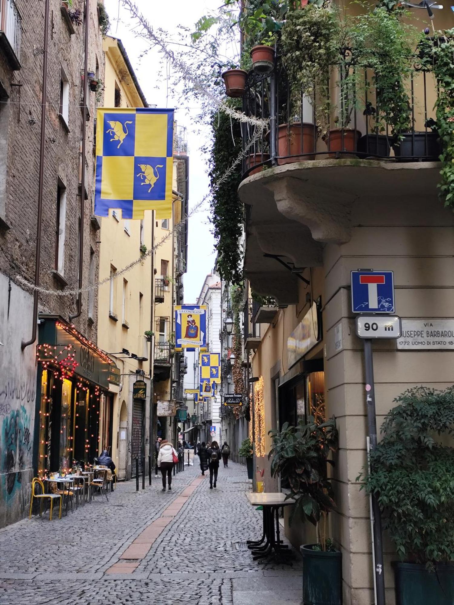 Calin Apartment Turin Bagian luar foto